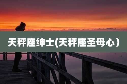 天秤座绅士(天秤座圣母心)