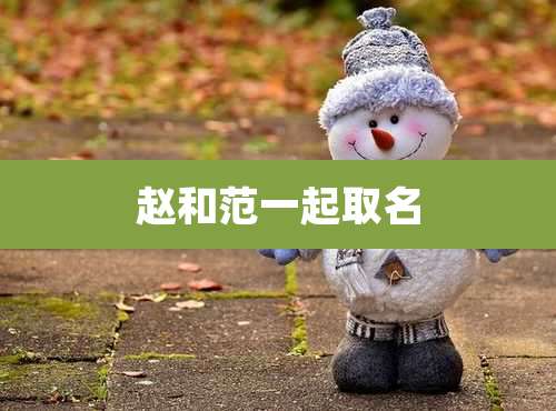 赵和范一起取名