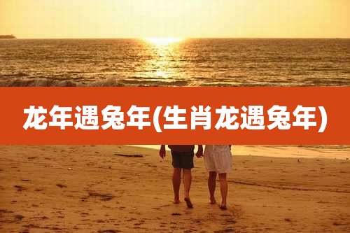 龙年遇兔年(生肖龙遇兔年)