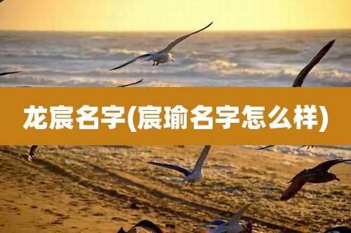 龙宸名字(宸瑜名字怎么样)