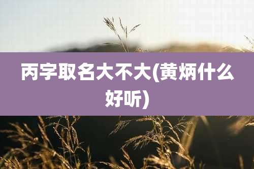 丙字取名大不大(黄炳什么好听)