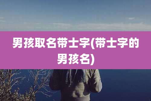 男孩取名带士字(带士字的男孩名)
