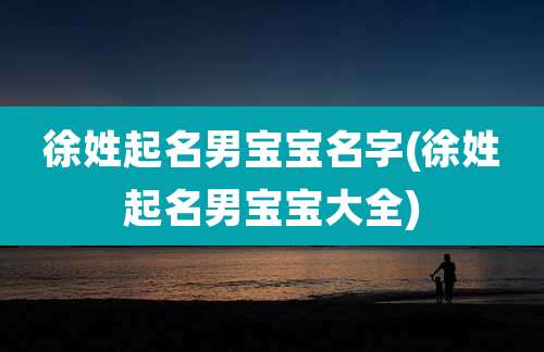 徐姓起名男宝宝名字(徐姓起名男宝宝大全)