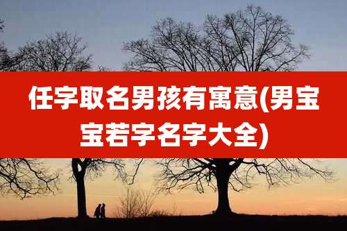 任字取名男孩有寓意(男宝宝若字名字大全)