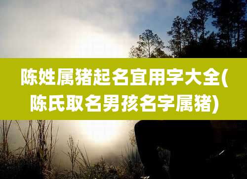 陈姓属猪起名宜用字大全(陈氏取名男孩名字属猪)