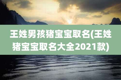 王姓男孩猪宝宝取名(王姓猪宝宝取名大全2021款)