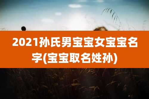 2021孙氏男宝宝女宝宝名字(宝宝取名姓孙)