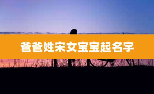 爸爸姓宋女宝宝起名字