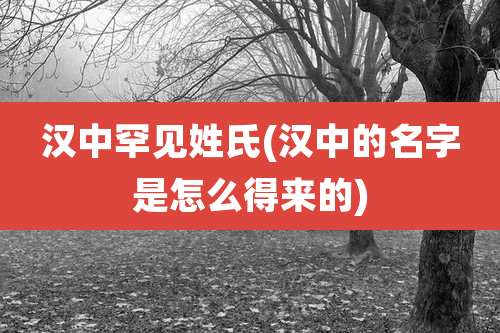 汉中罕见姓氏(汉中的名字是怎么得来的)