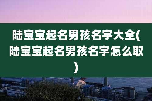 陆宝宝起名男孩名字大全(陆宝宝起名男孩名字怎么取)