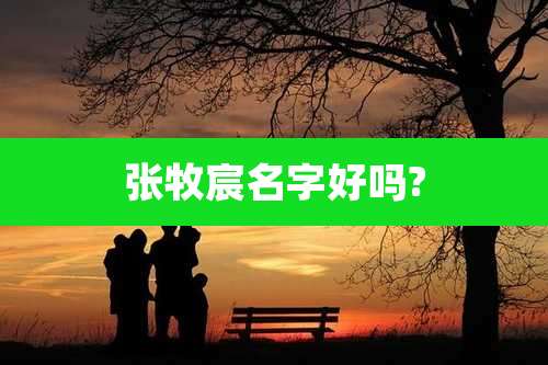 张牧宸名字好吗?