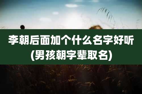 李朝后面加个什么名字好听(男孩朝字辈取名)