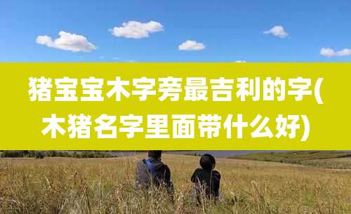 猪宝宝木字旁最吉利的字(木猪名字里面带什么好)