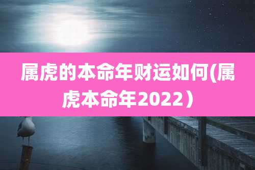 属虎的本命年财运如何(属虎本命年2022)
