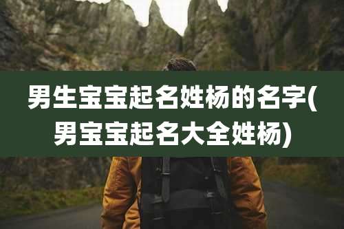 男生宝宝起名姓杨的名字(男宝宝起名大全姓杨)