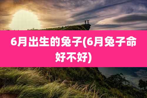 6月出生的兔子(6月兔子命好不好)