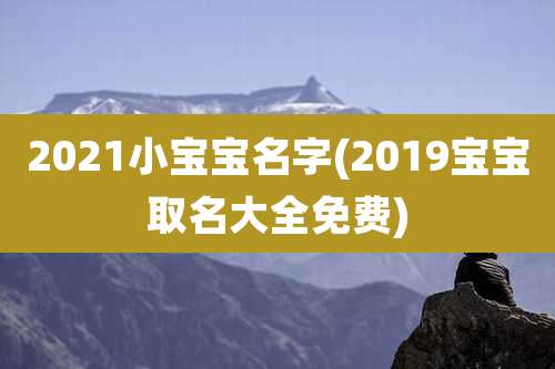 2021小宝宝名字(2019宝宝取名大全免费)
