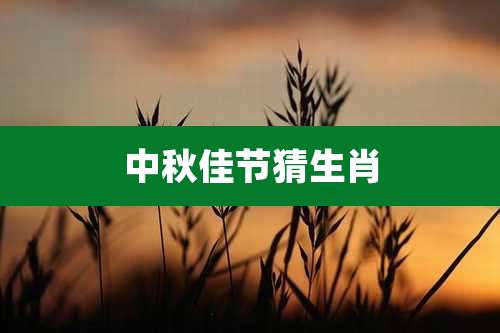 中秋佳节猜生肖