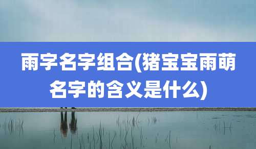 雨字名字组合(猪宝宝雨萌名字的含义是什么)