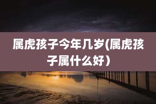 属虎孩子今年几岁(属虎孩子属什么好）