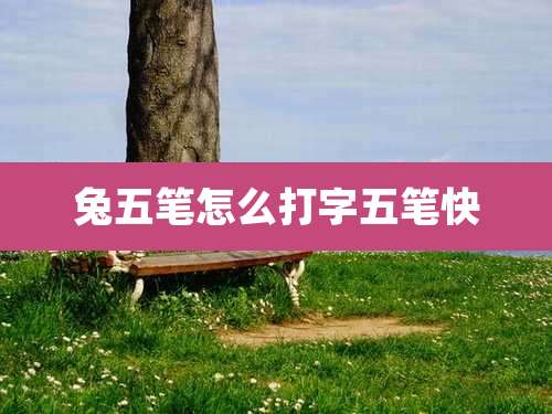 兔五笔怎么打字五笔快