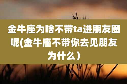 金牛座为啥不带ta进朋友圈呢(金牛座不带你去见朋友为什么）