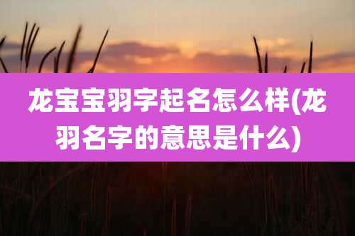 龙宝宝羽字起名怎么样(龙羽名字的意思是什么)