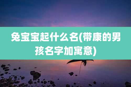 兔宝宝起什么名(带康的男孩名字加寓意)