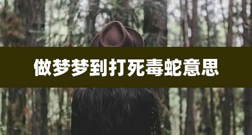 做梦梦到打死毒蛇意思