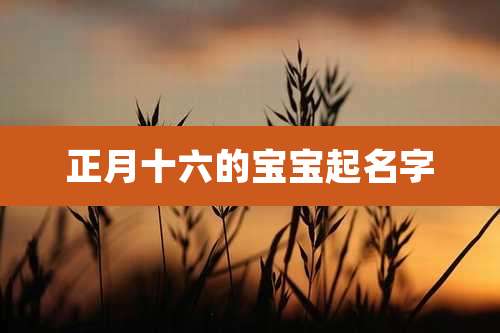 正月十六的宝宝起名字