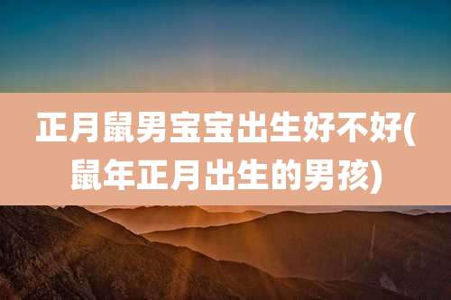 正月鼠男宝宝出生好不好(鼠年正月出生的男孩)
