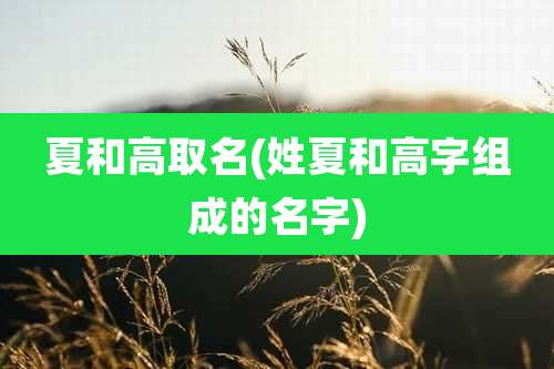 夏和高取名(姓夏和高字组成的名字)