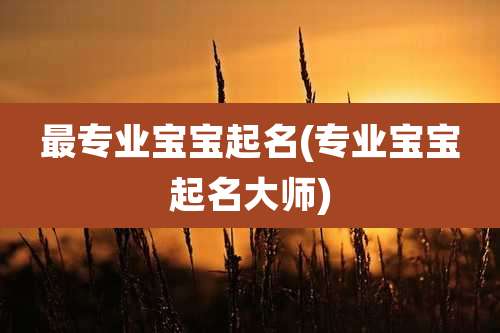 最专业宝宝起名(专业宝宝起名大师)