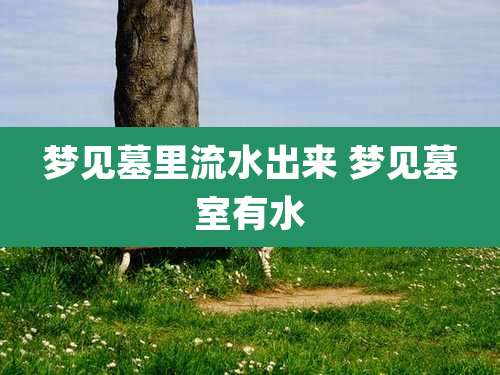 梦见墓里流水出来 梦见墓室有水