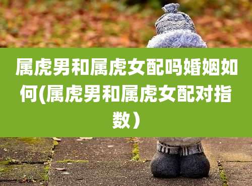 属虎男和属虎女配吗婚姻如何(属虎男和属虎女配对指数)