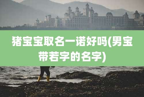 猪宝宝取名一诺好吗(男宝带若字的名字)