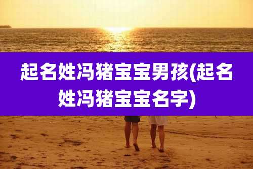 起名姓冯猪宝宝男孩(起名姓冯猪宝宝名字)