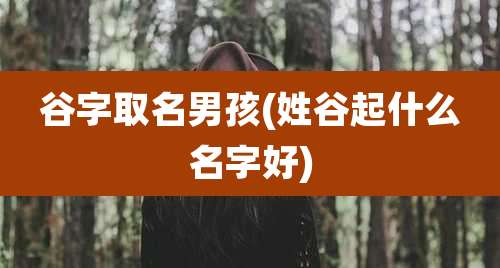 谷字取名男孩(姓谷起什么名字好)