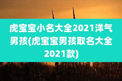 虎宝宝小名大全2021洋气男孩(虎宝宝男孩取名大全2021款)