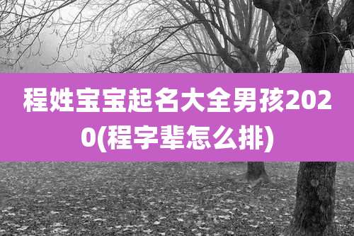 程姓宝宝起名大全男孩2020(程字辈怎么排)