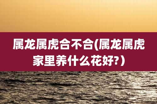 属龙属虎合不合(属龙属虎家里养什么花好?）