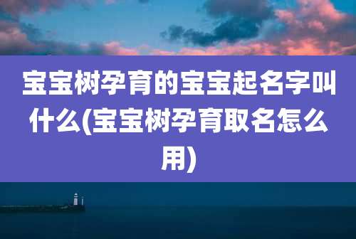 宝宝树孕育的宝宝起名字叫什么(宝宝树孕育取名怎么用)