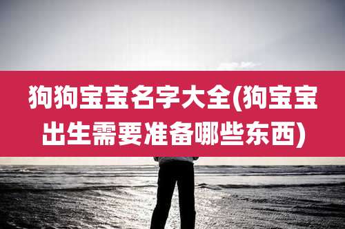 狗狗宝宝名字大全(狗宝宝出生需要准备哪些东西)