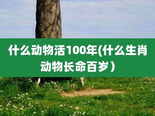 什么动物活100年(什么生肖动物长命百岁）