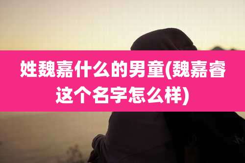 姓魏嘉什么的男童(魏嘉睿这个名字怎么样)