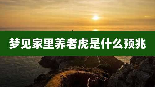 梦见家里养老虎是什么预兆