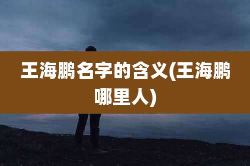 王海鹏名字的含义(王海鹏哪里人)
