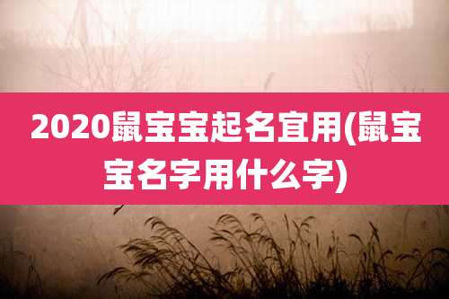 2020鼠宝宝起名宜用(鼠宝宝名字用什么字)