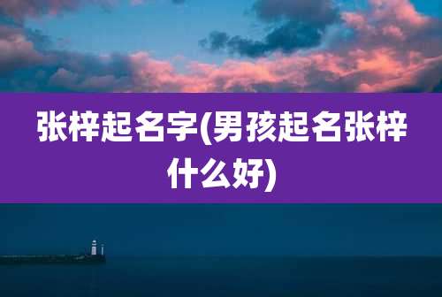 张梓起名字(男孩起名张梓什么好)