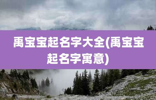 禹宝宝起名字大全(禹宝宝起名字寓意)